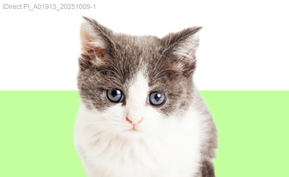 「寵物寶貝最愛！關鍵洞悉台灣寵物清潔用品價格比較，買對不買貴！」